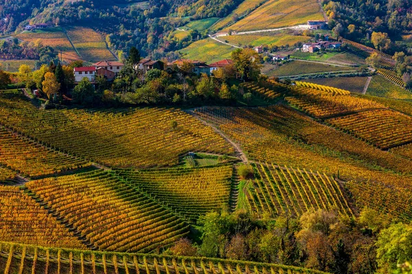 Uitzicht Van Boven Kleurrijke Herfstwijngaarden Heuvels Van Langhe Piemonte Noord — Stockfoto