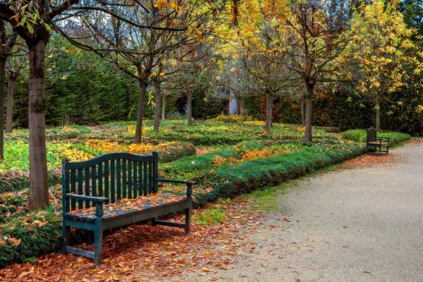 Деревянная Скамейка Покрытая Опавшими Осенними Листьями Среди Деревьев Парке Раккониджи — стоковое фото