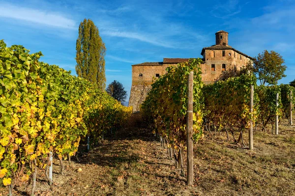 Colorful Autumnal Vineyards Grow Row Blue Sky Barolo Piedmont Northern — Stock Photo, Image