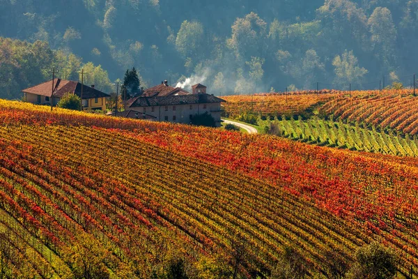 从上面俯瞰意大利北部皮埃蒙特五彩缤纷的秋天葡萄园 — 图库照片