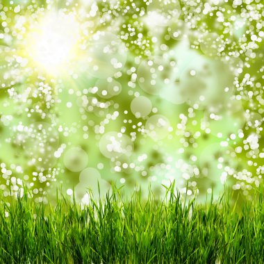 güzel doğa yaz arka plan