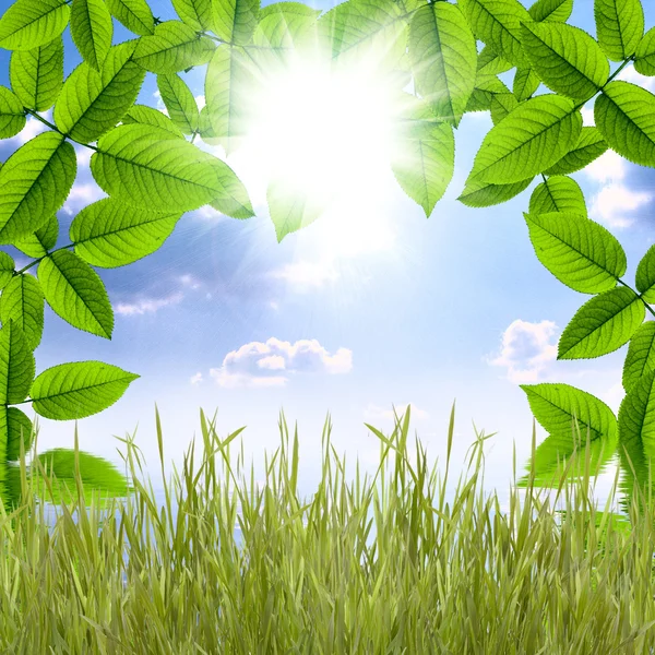 Φυσικό καλοκαίρι πράσινο φόντο με ήλιο και ουρανό, αντανακλώντας το w — Φωτογραφία Αρχείου