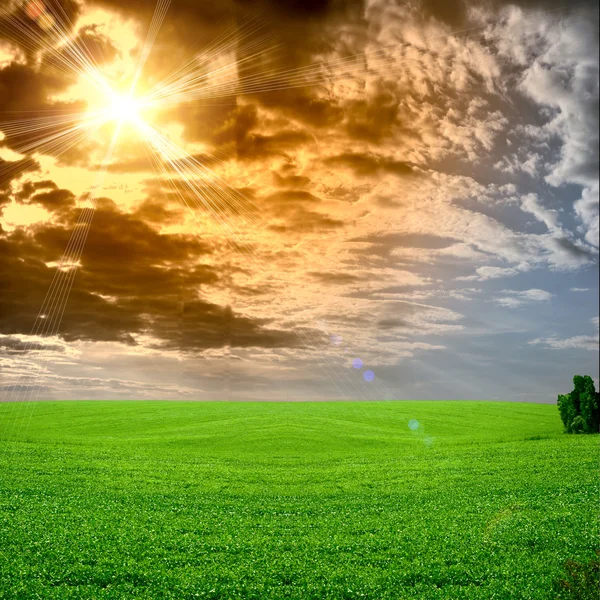Campo de grama e perfeito céu azul pôr do sol — Fotografia de Stock