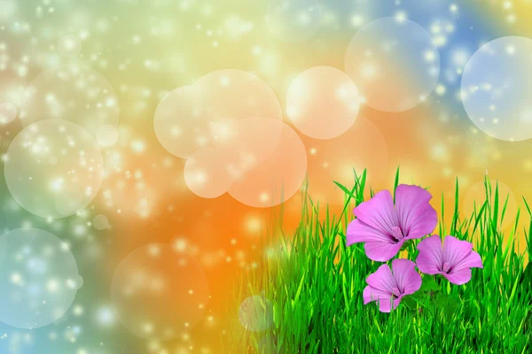 Natuurlijke groene achtergrond met bloemen — Stockfoto