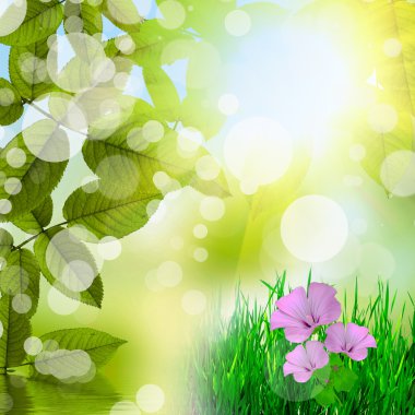 doğal yeşil renkli çiçekler