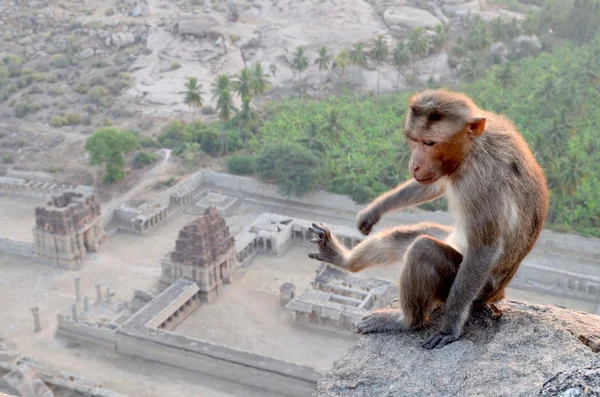 Hampi, Indien — Stockfoto