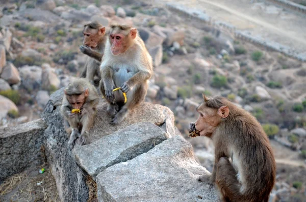 Hampi, India — Stock Photo, Image