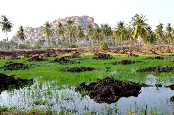 Hampi, 인도 — 스톡 사진