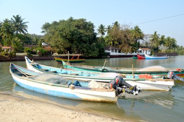 Colva beach