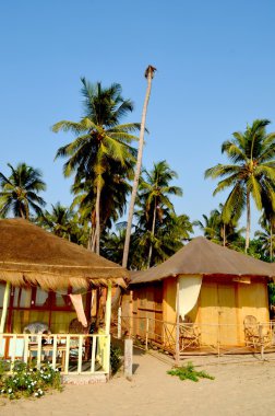 Palolem beach