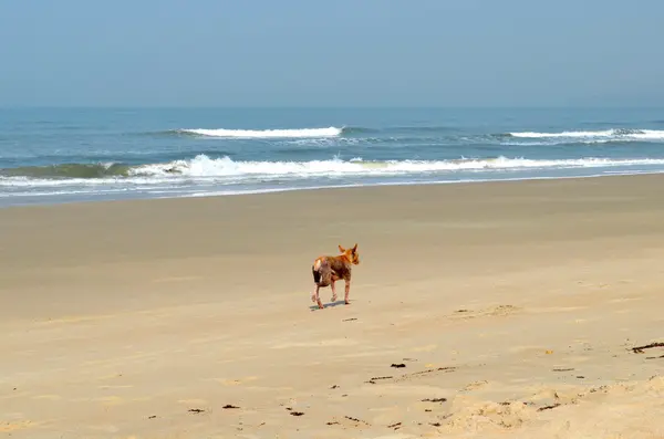 Arossim beach — Zdjęcie stockowe