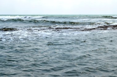 Vagator beach