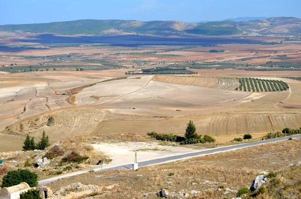 Dougga, Tunezja — Zdjęcie stockowe