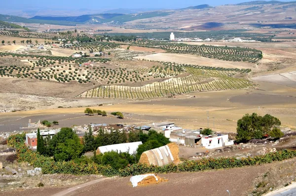 Dougga, Tunézia — Stock Fotó