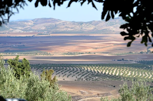 Dougga, Tunezja — Zdjęcie stockowe