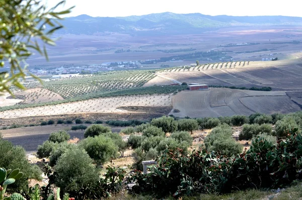 Dougga, Tunezja — Zdjęcie stockowe