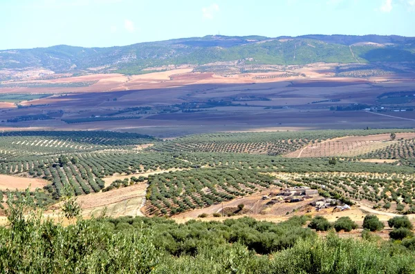 Dougga, Túnez — Foto de Stock