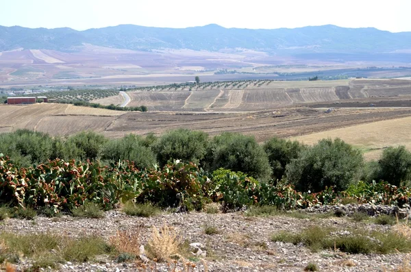 Dougga, Tunesien — Stockfoto