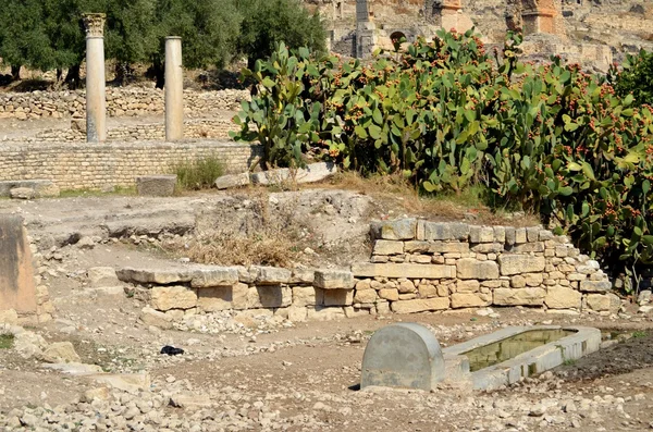 Dougga, Tunesien — Stockfoto