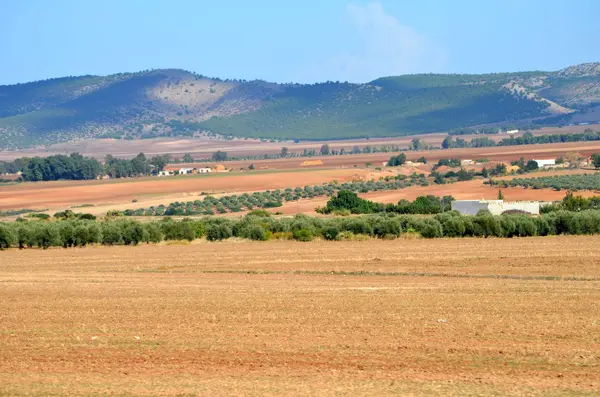 Dougga, Tunezja — Zdjęcie stockowe