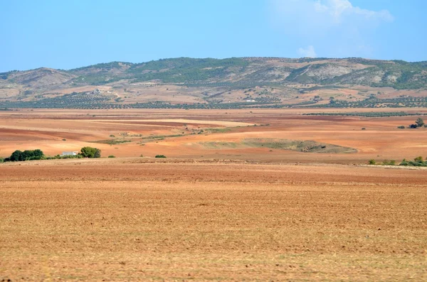 Dougga, Tunezja — Zdjęcie stockowe