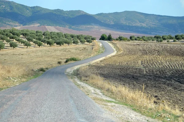 Dougga, Tunezja — Zdjęcie stockowe