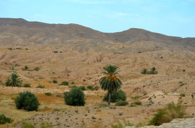 Sahra Çölü Afrika