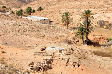 Sahra Çölü Afrika