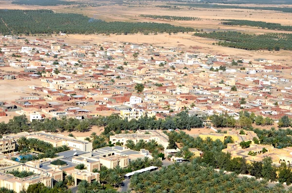 Oasi del Sahara — Foto Stock