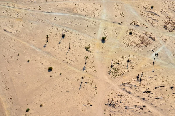 Сахарский оазис — стоковое фото