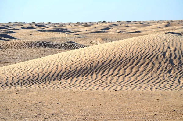 Na pustyni sahara w Afryce — Zdjęcie stockowe