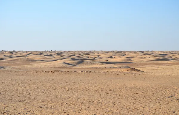 Na pustyni sahara w Afryce — Zdjęcie stockowe