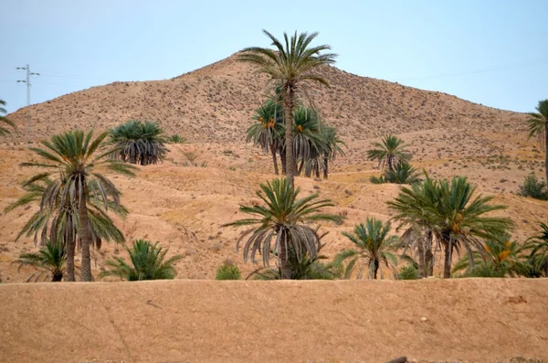 Έρημο της Σαχάρας στην Αφρική — Φωτογραφία Αρχείου