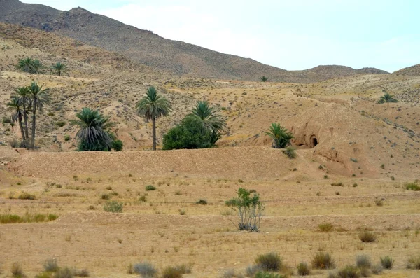 O deserto do Saara em África — Fotografia de Stock