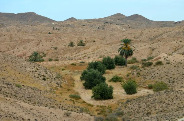 O deserto do Saara em África — Fotografia de Stock