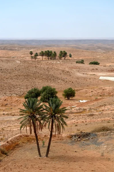 The Sahara Desert in Africa — Stock Photo, Image