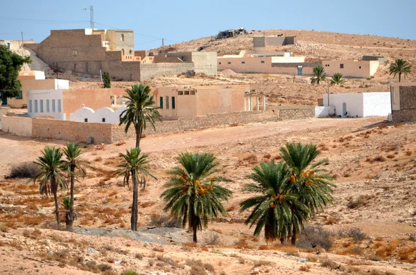 Sahra Çölü Afrika