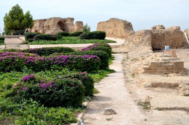 Kartaca