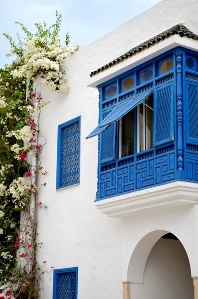 Sidi Bou disse: — Fotografia de Stock