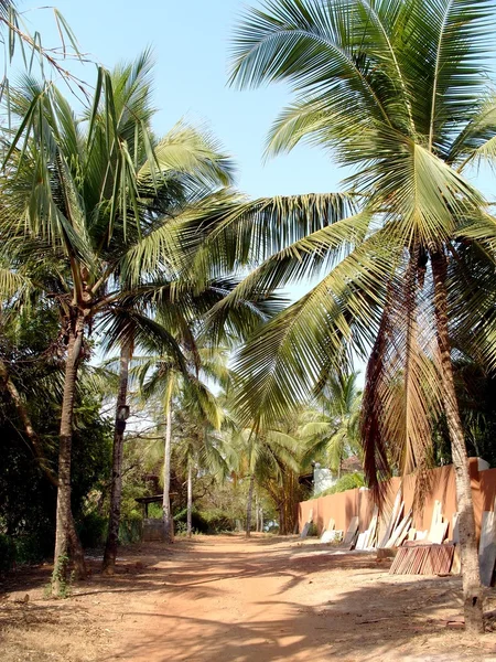 Goa, Indie — Zdjęcie stockowe