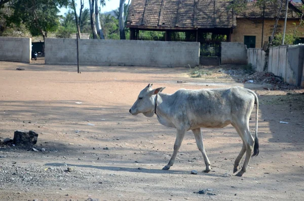 Badami. — Fotografia de Stock