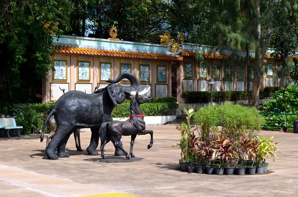 Pattaya — Foto de Stock