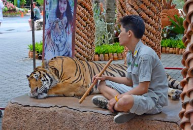 Nong nooch tropikal Bahçe