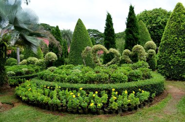Nong nooch tropikal Bahçe