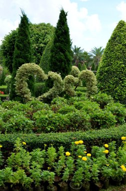 Nong nooch tropikal Bahçe