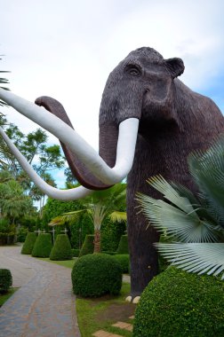 Nong nooch tropikal Bahçe