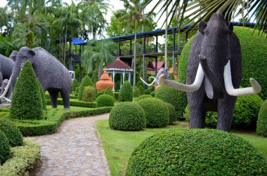 Nong nooch tropikal Bahçe
