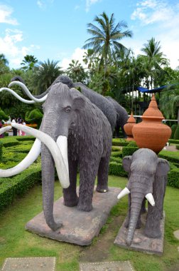 Nong nooch tropikal Bahçe