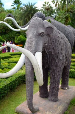 Nong nooch tropikal Bahçe