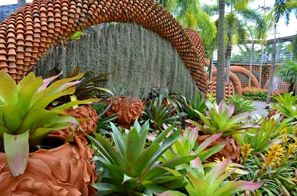 Nong Nooch Tropical Garden — Stock Photo, Image